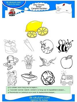 Çocuklar İçin L Sesi Çalışma Sayfaları 